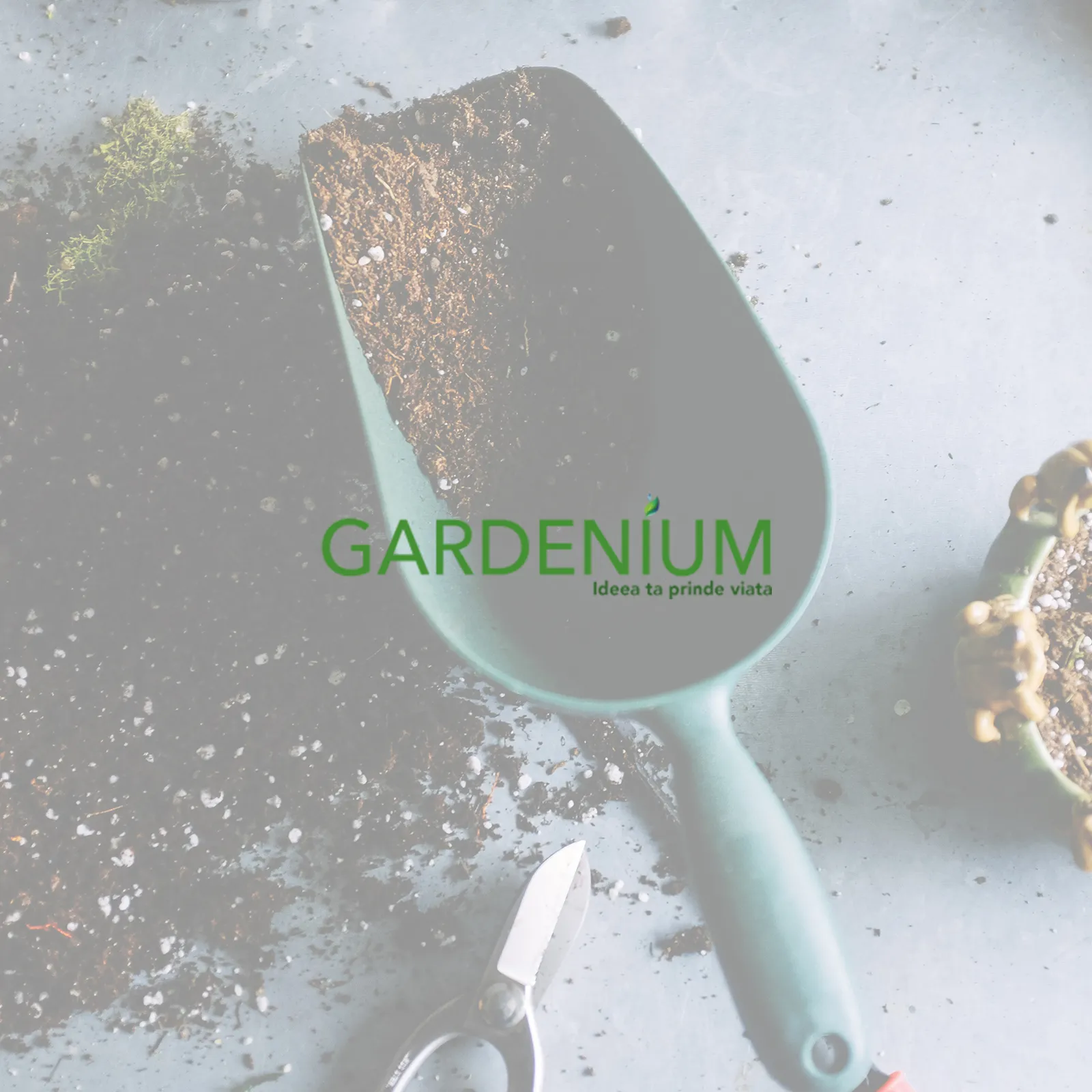 Captura Gardenium